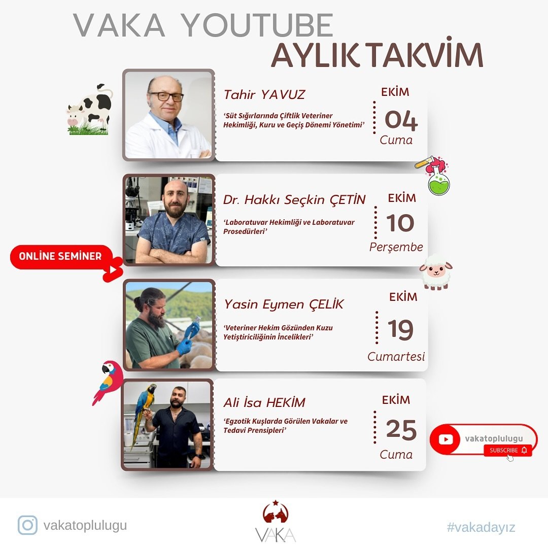 Online Etkinliklerimiz